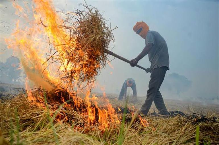 Toxic Skies: Punjab's Stubble Burning Crisis Worsens Air Quality