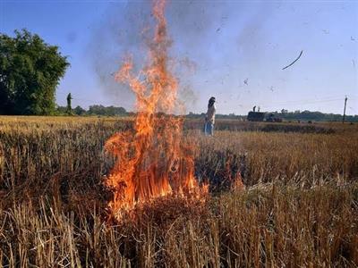 Cancer in the Air: The Shocking Truth About Stubble Burning's Health Impact