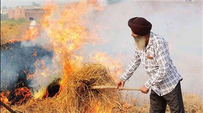 Stubble Burning: ਪੰਜਾਬ 'ਚ ਪਰਾਲੀ ਦੇ ਮਾਮਲੇ 50% ਘਟੇ, ਫਿਰ ਵੀ ਨਹੀਂ ਘਟਿਆ ਪ੍ਰਦੂਸ਼ਣ, ਪਟਾਕਿਆਂ ਨੂੰ ਲੈਕੇ ਸਖਤੀ ਦੇ ਹੁਕਮ